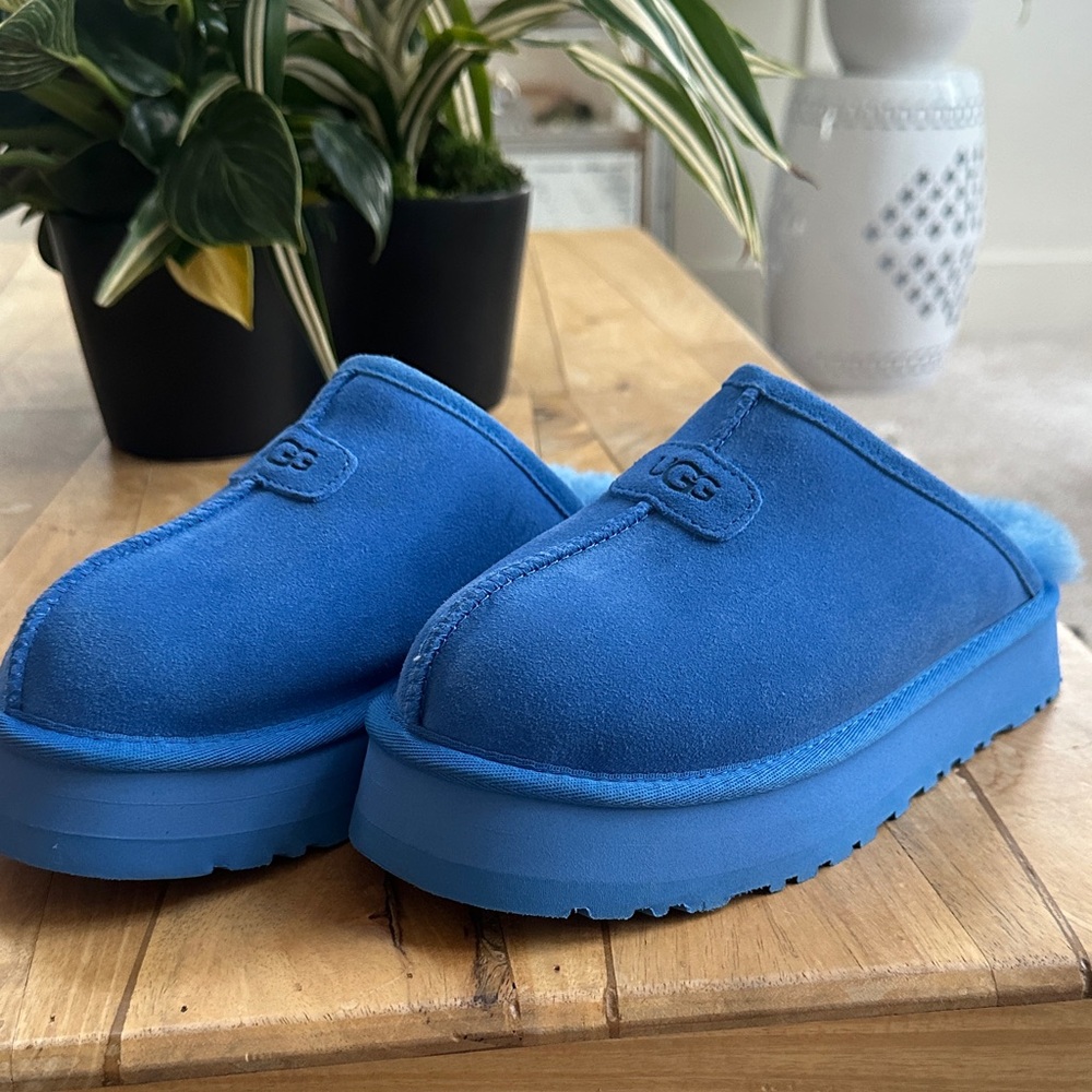 UGG Vibrant Blue Suede Mules